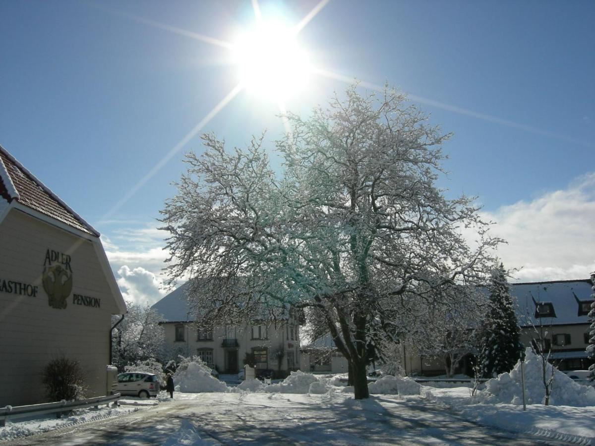 Pension Adler Bannholz Экстерьер фото