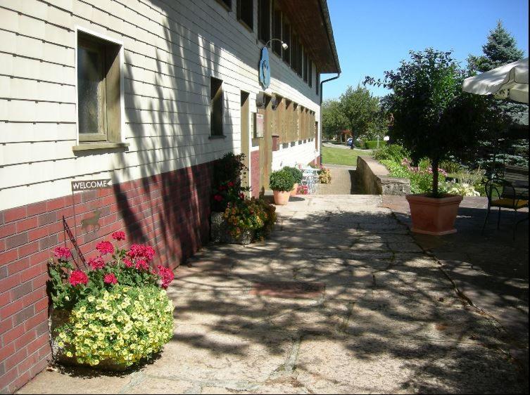 Pension Adler Bannholz Экстерьер фото